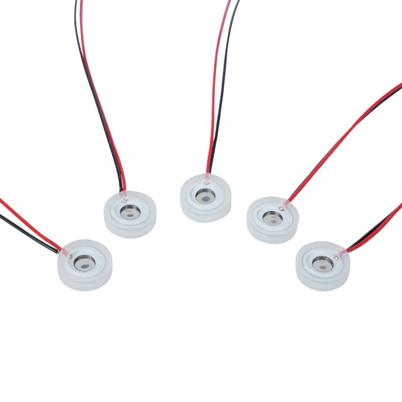 Микро-маленький пьезоэлектрический распылитель с микросеткой, 10 мм. Кусок носовой шайбы. Влажный спрей для глазных инструментов. Эфирное масло. Ароматерапия.